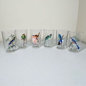 VTG 60’s Kig Malaysia Exotic Tropical Bird Glasses Set of 6